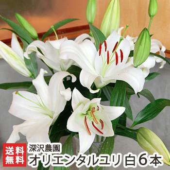 魚沼産 オリエンタルユリ 白 6本 深沢農園 生花 切り花 お供え花 仏花 御歳暮にも ギフトにも のし無料 送料無料 0068 003 05 新潟直送計画 通販 Yahoo ショッピング