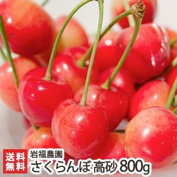 新潟産 朝採り さくらんぼ 高砂 800g 岩福農園/産地直送 朝採り直送 