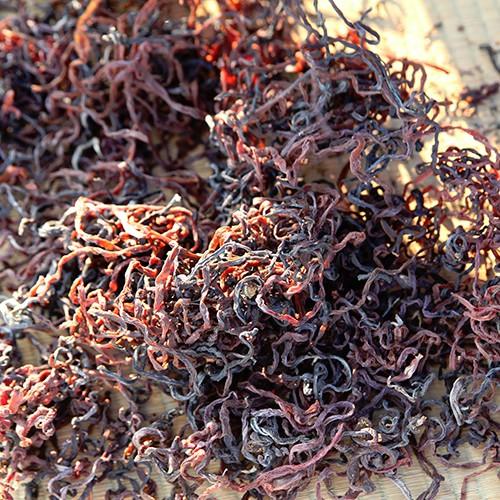 新潟産 天然乾燥ぜんまい 100g（1袋）耕太郎農園/送料無料 : 新潟直送