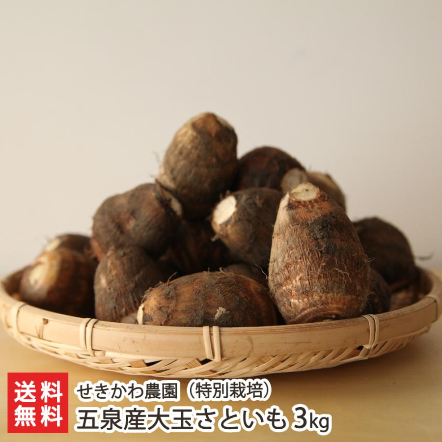10周年記念イベントが 五泉産大玉さといも 特別栽培 3kg せきかわ農園 送料無料 10周年記念イベントが 五泉産大玉さといも 特別栽培 3kg せきかわ農園 送料無料