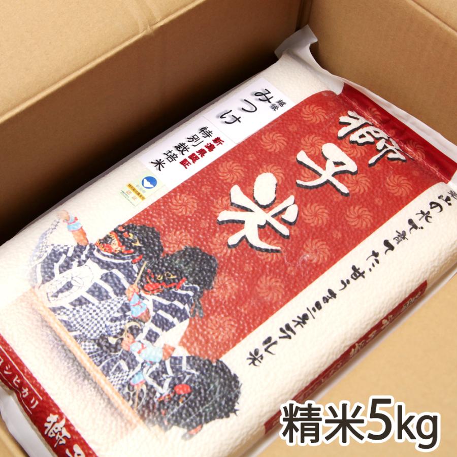 令和5年度 コシヒカリ  新米  農家直送 減農薬特別栽培 コシヒカリ 【令和5年度米】特別栽培米（減農薬・減化学肥料）新潟産