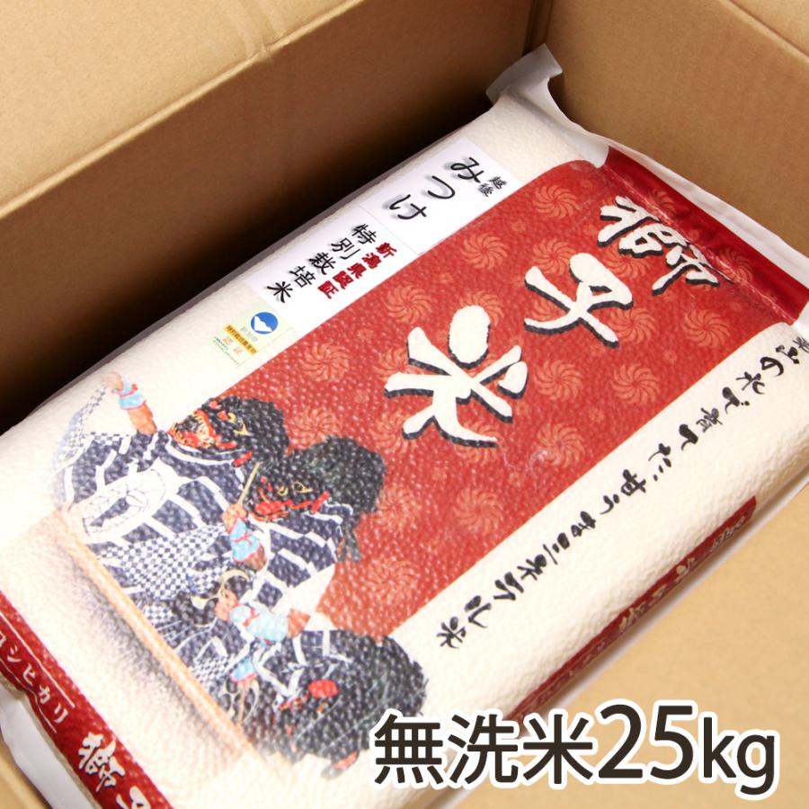 令和5年度 コシヒカリ  新米  農家直送 減農薬特別栽培 コシヒカリ 【令和5年度米】特別栽培米（減農薬・減化学肥料）新潟産