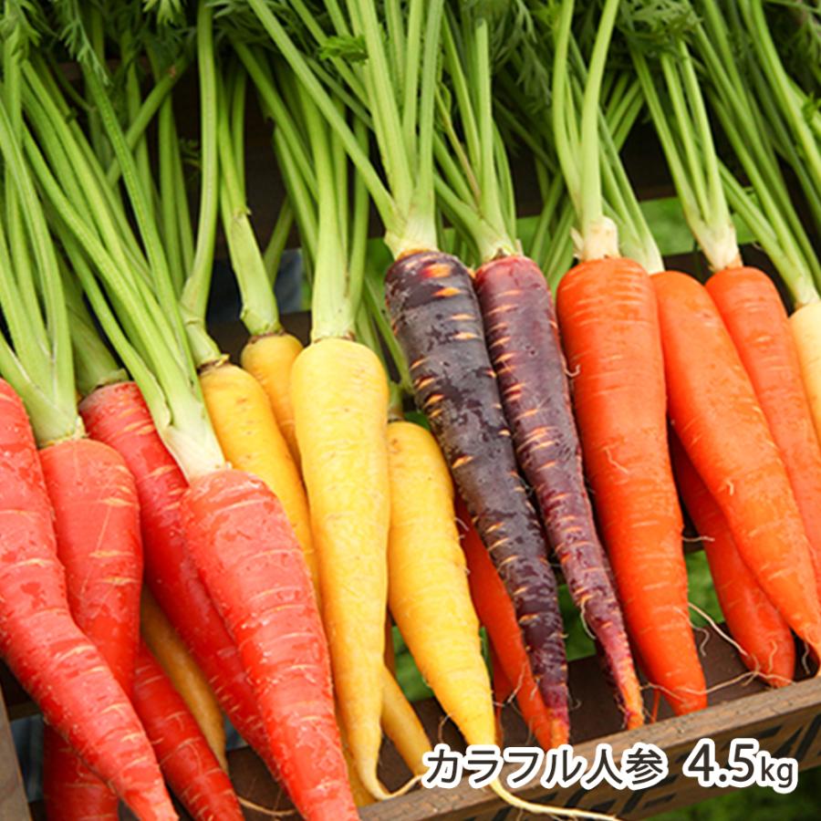 新潟産 カラフル人参 4.5kg（※1本あたり70〜150g※5色〜6色入り）ひだか