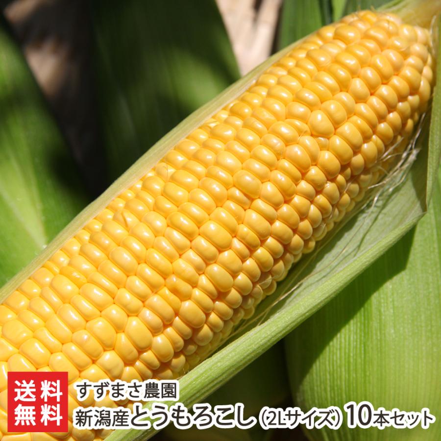 限定価格セール 新潟産 朝採りとうもろこし2lサイズ 1本400g前後 10本
