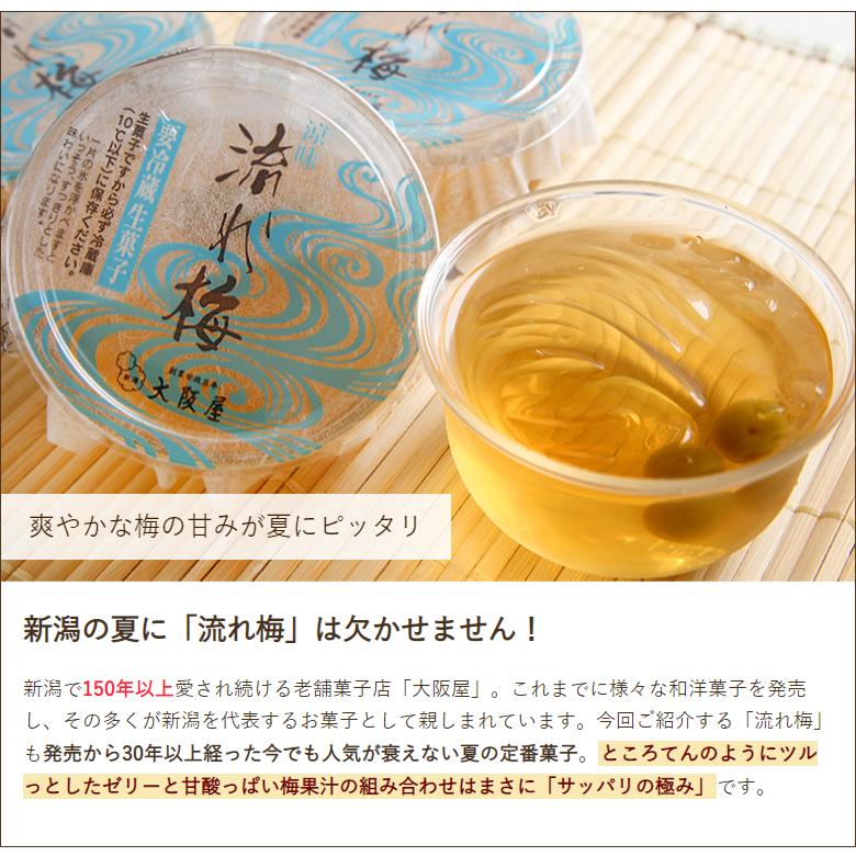 新潟夏の定番菓子 流れ梅 6個入 大阪屋/ギフトにも!/のし無料/送料無料|niigata-shop|03