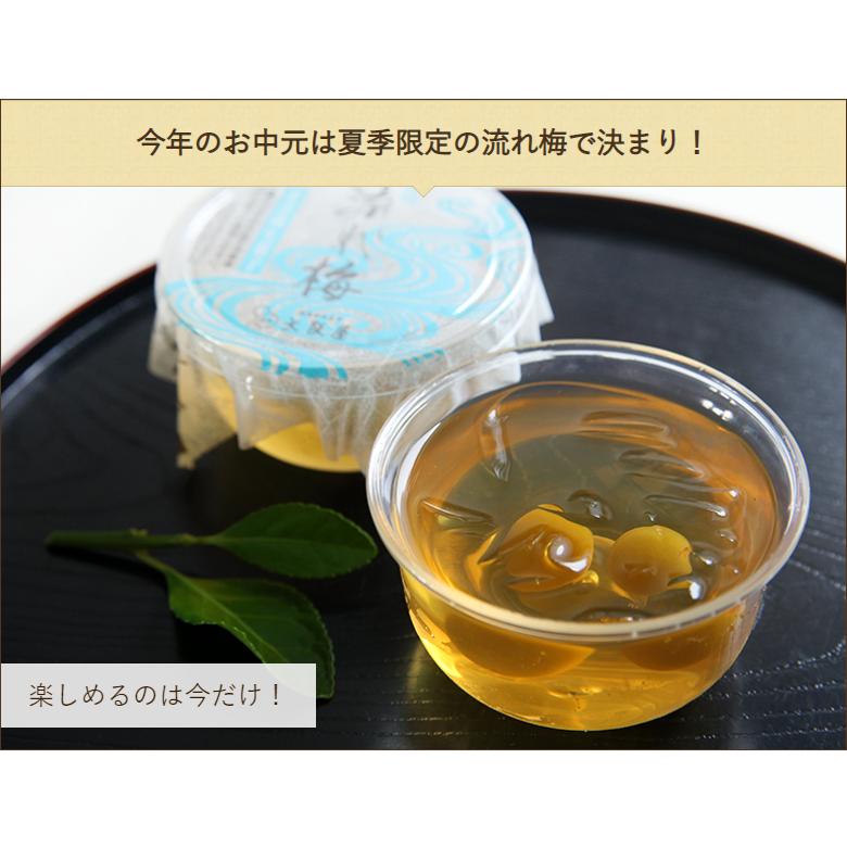 新潟夏の定番菓子 流れ梅 6個入 大阪屋/ギフトにも!/のし無料/送料無料|niigata-shop|05