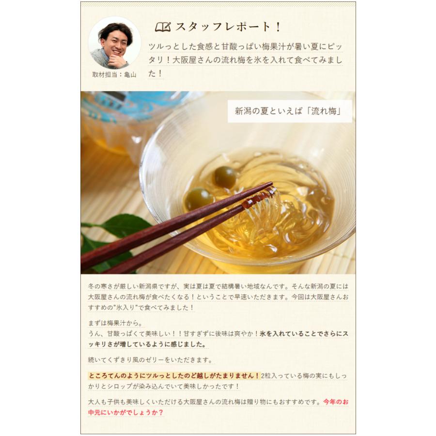 新潟夏の定番菓子 流れ梅 6個入 大阪屋/ギフトにも!/のし無料/送料無料|niigata-shop|08