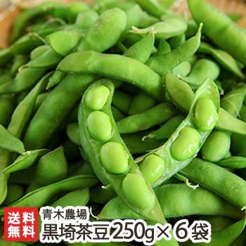 朝獲り黒埼茶豆 1.5kg（250g×6袋）青木農場/枝豆 えだまめ ちゃまめ