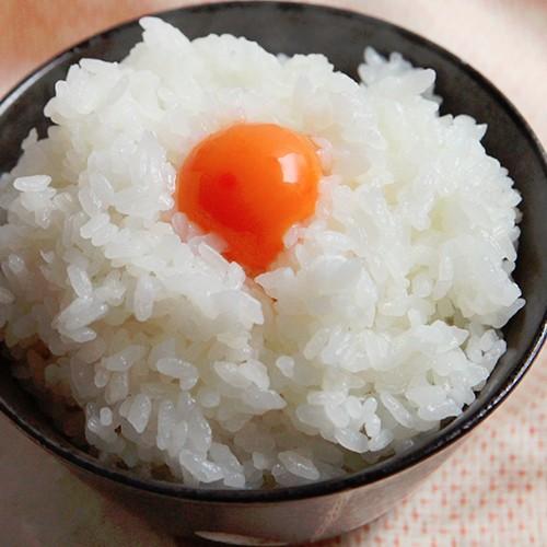 コシヒカリ 令和6年度産米 特別栽培米(減農薬・減化学肥料 コシヒカリ 令和6年度産米 特別栽培米(減農薬・減化学肥料