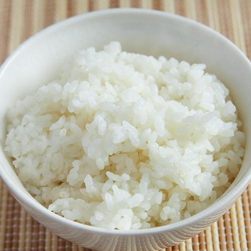 コシヒカリ 令和6年度産米 新潟産 特別栽培米コシヒカリ「玄米」食べ