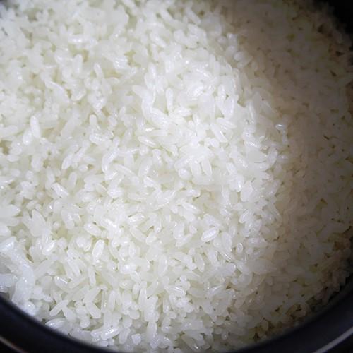 新潟産 新之助（しんのすけ）玄米10kg（5kg×2袋）あしぬまカントリー