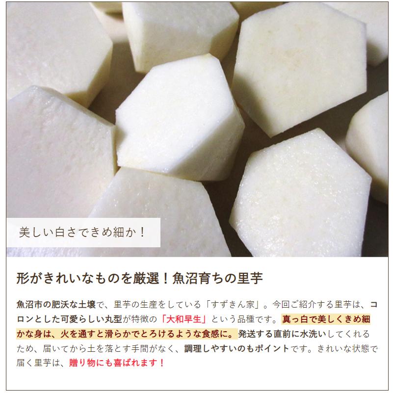 最高の品質の 新潟県産 里芋 5kg さといも すずきん家 送料無料 里いも