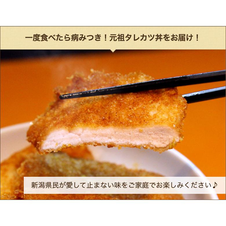 タレカツセット 3パック(6人前：とんかつ30g×24枚、タレ40g×6)/冷凍