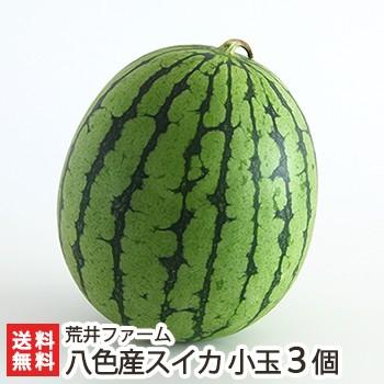 魚沼 八色産スイカ 小玉サイズ3個入り 荒井ファーム ギフトに！/送料