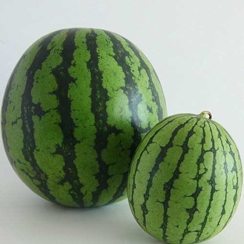 魚沼 八色産スイカ 小玉サイズ3個入り 荒井ファーム ギフトに！/送料