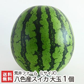 魚沼 八色産スイカ 大玉 Lサイズ 1個入り 荒井ファーム 7月下旬 発送 ギフトに 送料無料 0145 001 03 新潟直送計画 通販 Yahoo ショッピング