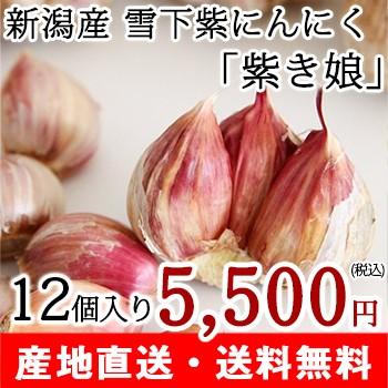 廃！新潟産 雪下紫にんにく「紫き娘」12個入り 赤塚渡辺農園/ギフトに