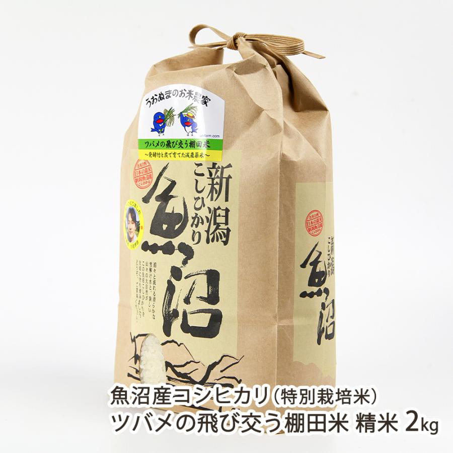 令和7年度✨魚沼産こしひかり 棚田米20kg (10kg×2袋) コシヒカリ 【令和7年度米】特別栽培米（減農薬・無化学肥料）魚沼産
