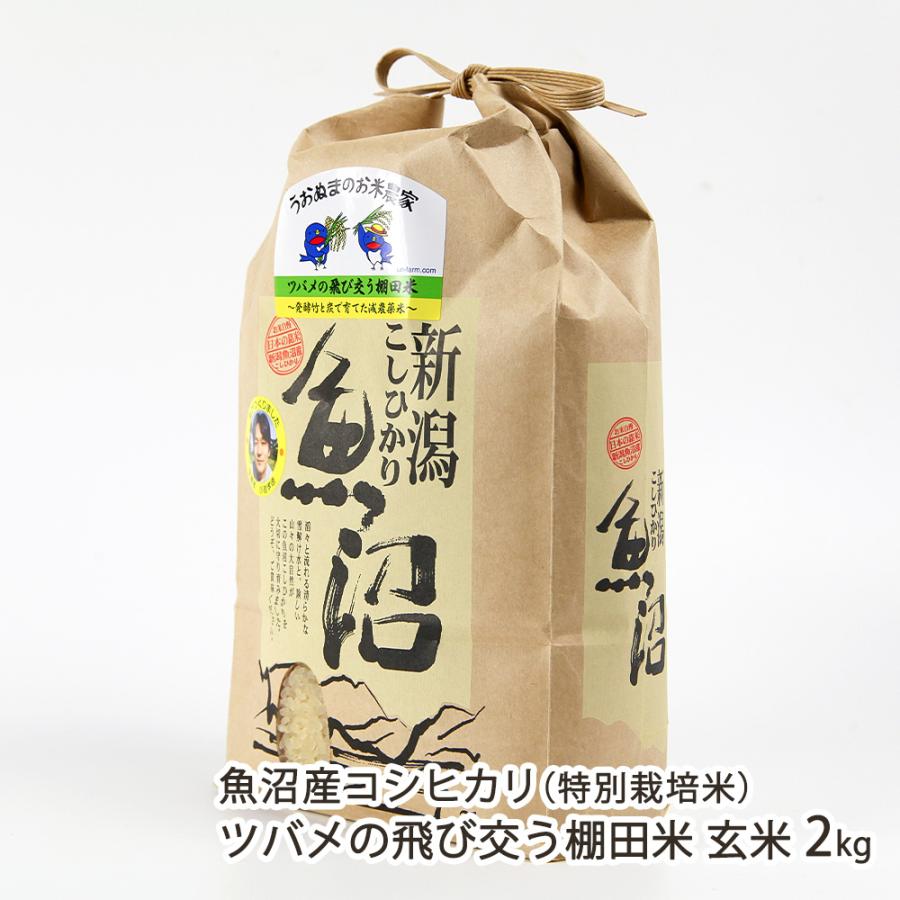 コシヒカリ 【令和8年度新米】特別栽培米（減農薬・無化学肥料）魚沼産
