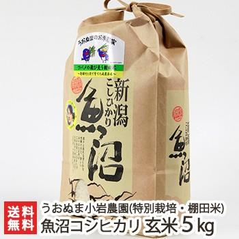 コシヒカリ 令和6年度産米 特別栽培米(減農薬・無化学肥料 コシヒカリ 令和6年度産米 特別栽培米(減農薬・無化学肥料