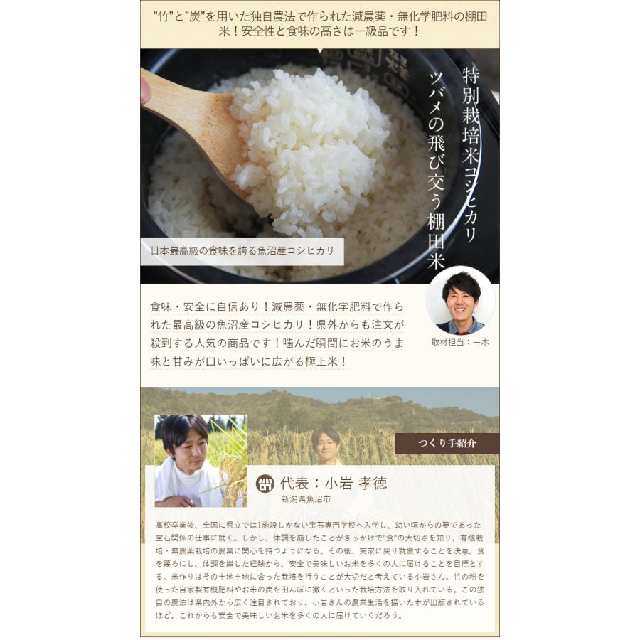コシヒカリ 令和6年度産米 特別栽培米(減農薬・無化学肥料 コシヒカリ 令和6年度産米 特別栽培米(減農薬・無化学肥料