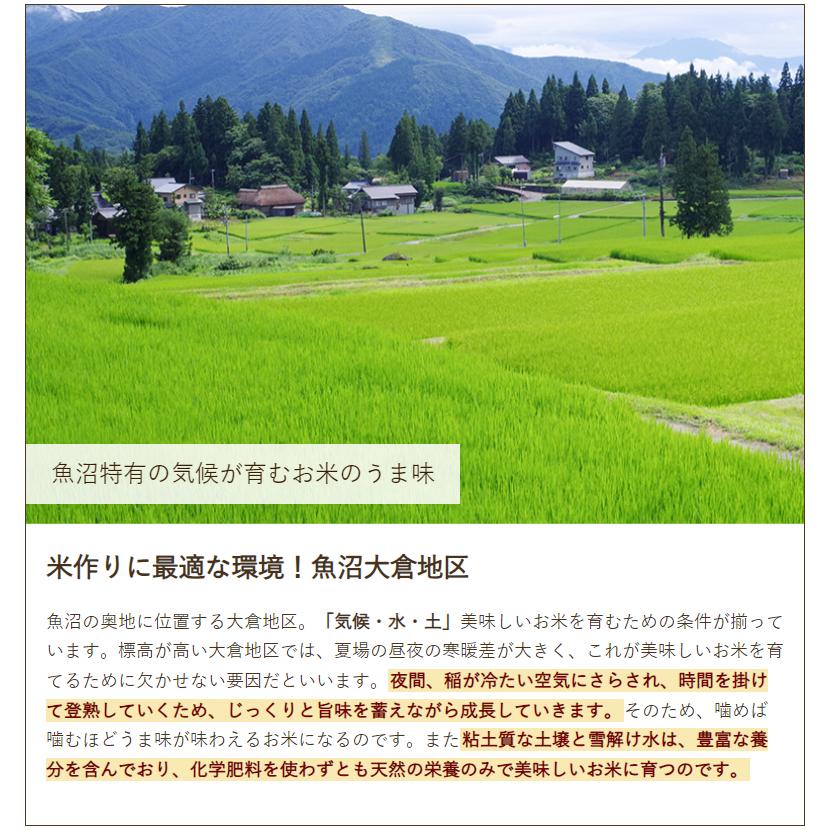 コシヒカリ 令和6年度産米 特別栽培米(減農薬・無化学肥料 コシヒカリ 令和6年度産米 特別栽培米(減農薬・無化学肥料