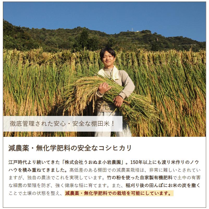 コシヒカリ 令和6年度産米 特別栽培米(減農薬・無化学肥料 コシヒカリ 令和6年度産米 特別栽培米(減農薬・無化学肥料