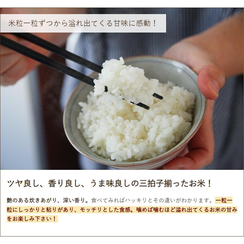 コシヒカリ 令和6年度産米 特別栽培米(減農薬・無化学肥料 コシヒカリ 令和6年度産米 特別栽培米(減農薬・無化学肥料