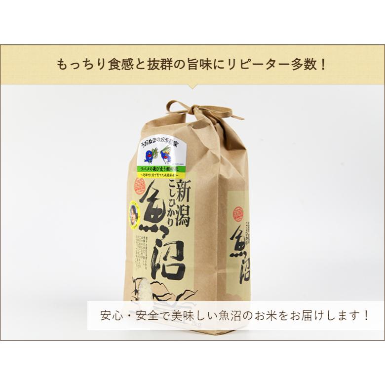 コシヒカリ 令和6年度産米 特別栽培米(減農薬・無化学肥料 コシヒカリ 令和6年度産米 特別栽培米(減農薬・無化学肥料
