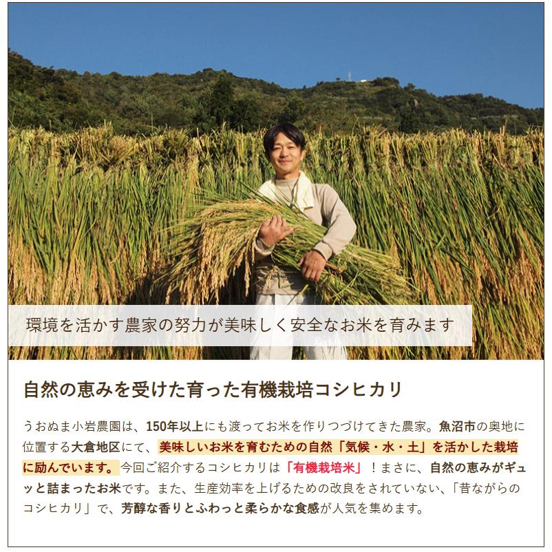 コシヒカリ 【令和8年度新米】JAS認証有機栽培米（無農薬・無化学肥料