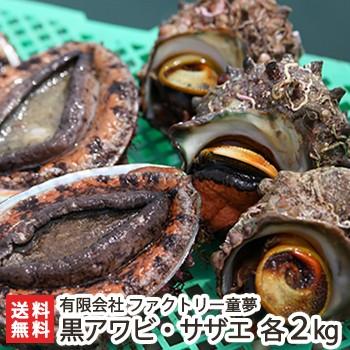 佐渡産 活黒アワビとサザエ 各 2kg エアーポンプ付 ファクトリー童夢 後払い不可 送料無料 訳あり
