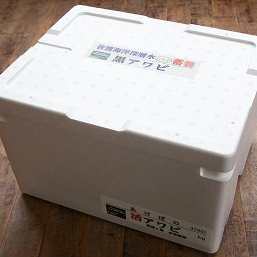 佐渡産 活黒アワビとサザエ 各 2kg エアーポンプ付 ファクトリー童夢/後払い不可/送料無料 