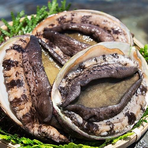佐渡産 活黒アワビとサザエ 各 2kg エアーポンプ付 ファクトリー童夢/後払い不可/送料無料 
