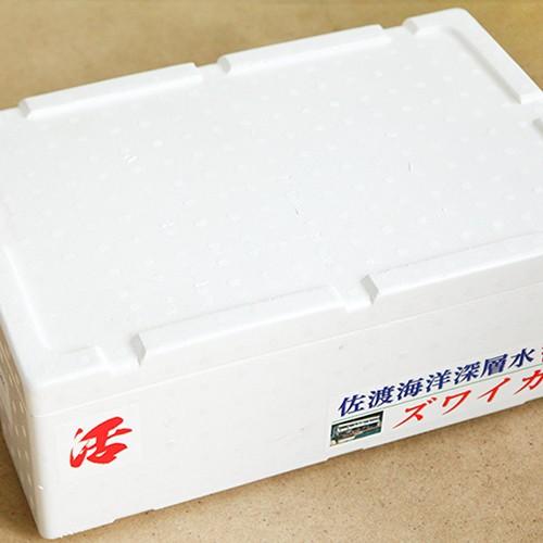 佐渡産 活本ズワイガニ「おけさ蟹」 2Lサイズ3尾 エアーポンプ付/かに カニ 蟹 蟹しゃぶ/ファクトリー童夢/後払い不可/送料無料 おけさ蟹