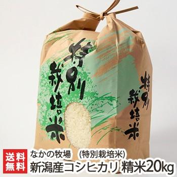 コシヒカリ 【令和6年度米】特別栽培米(減農薬・減化学肥料 コシヒカリ 【令和6年度米】特別栽培米(減農薬・減化学肥料