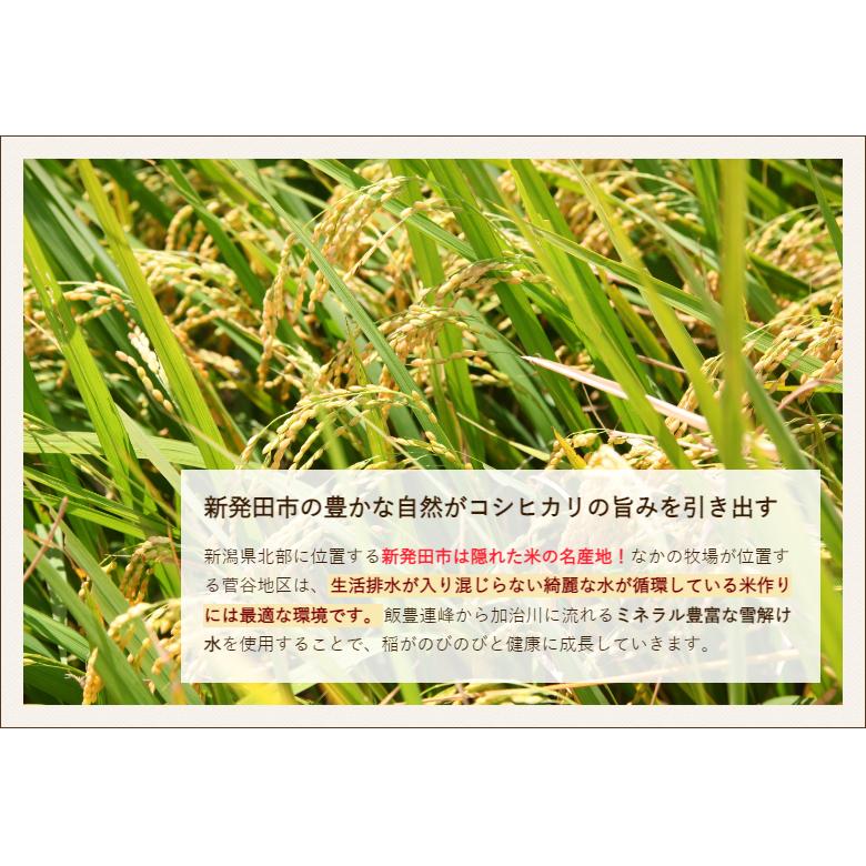 コシヒカリ 【令和6年度米】特別栽培米(減農薬・減化学肥料 コシヒカリ 【令和6年度米】特別栽培米(減農薬・減化学肥料