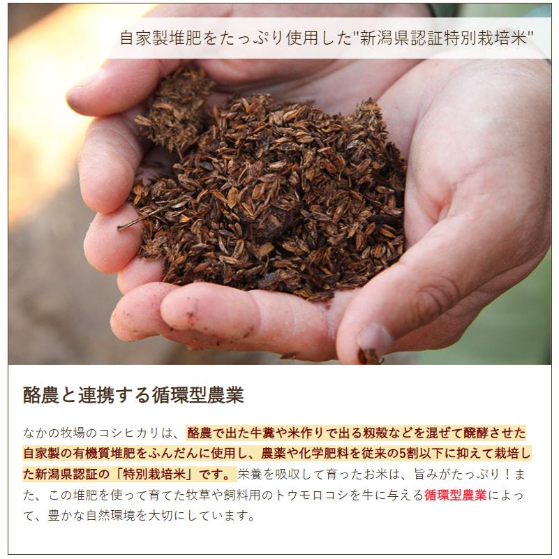 コシヒカリ 【令和6年度米】特別栽培米(減農薬・減化学肥料 コシヒカリ 【令和6年度米】特別栽培米(減農薬・減化学肥料