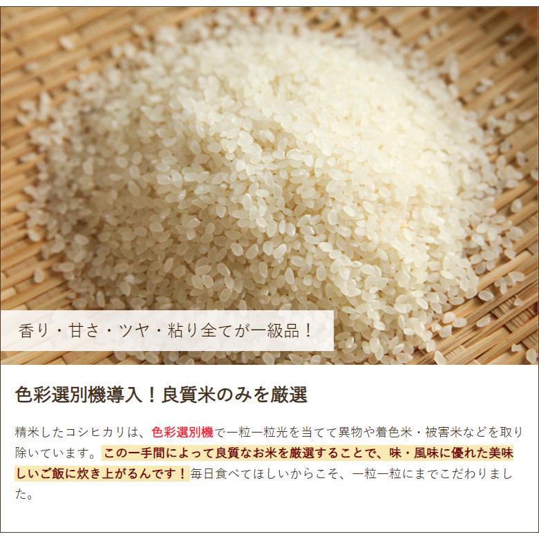 コシヒカリ 【令和6年度米】特別栽培米(減農薬・減化学肥料 コシヒカリ 【令和6年度米】特別栽培米(減農薬・減化学肥料
