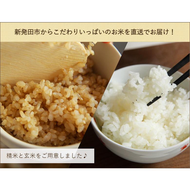 コシヒカリ 【令和6年度米】特別栽培米(減農薬・減化学肥料 コシヒカリ 【令和6年度米】特別栽培米(減農薬・減化学肥料