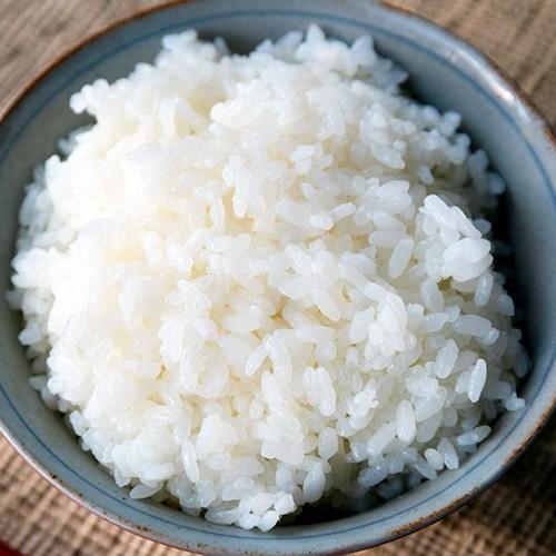 コシヒカリ 【令和7年度米】新潟産コシヒカリ「風神の舞」精米10kg