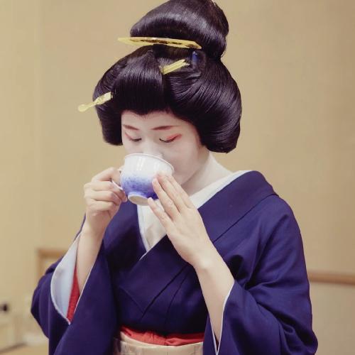 新潟古町芸妓珈琲 ドリップバッグセット 16PIECES 鈴木コーヒー/送料