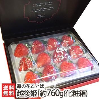 17 新潟ブランド苺 越後姫 化粧箱入 約760g 18 30粒 苺の花ことば ギフト のし無料 送料無料 0224 001 02 新潟直送計画 通販 Yahoo ショッピング