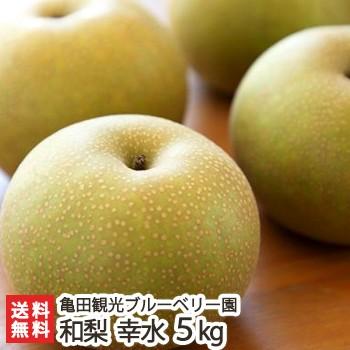 新潟産 和梨 幸水5kg（9〜14玉）亀田観光ブルーベリー園/ギフトにも！/のし無料/送料無料 父の日 お中元｜niigata-shop