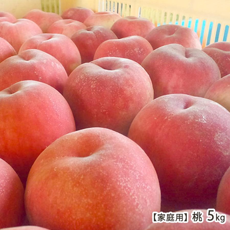 硬めの桃産地直送 新鮮な桃 詰め合わせ　なつっこ5kg 家庭用】 新潟産 桃 5kg（14〜18玉）/くだもの屋にへじ/【訳あり