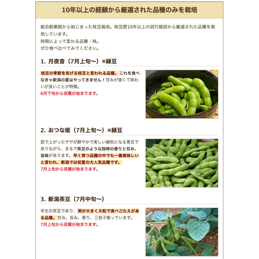 枝豆 おつな姫 2kg 500g 4袋 大日 やたえいのう 送料無料 お歳暮 0251 002 02 新潟直送計画 通販 Yahoo ショッピング