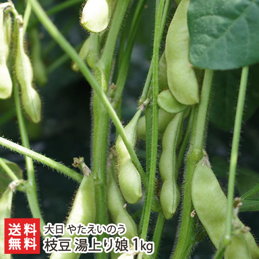 枝豆 湯上り娘 1kg（500g×2袋）/枝豆 えだまめ/大日 やたえいのう/送料