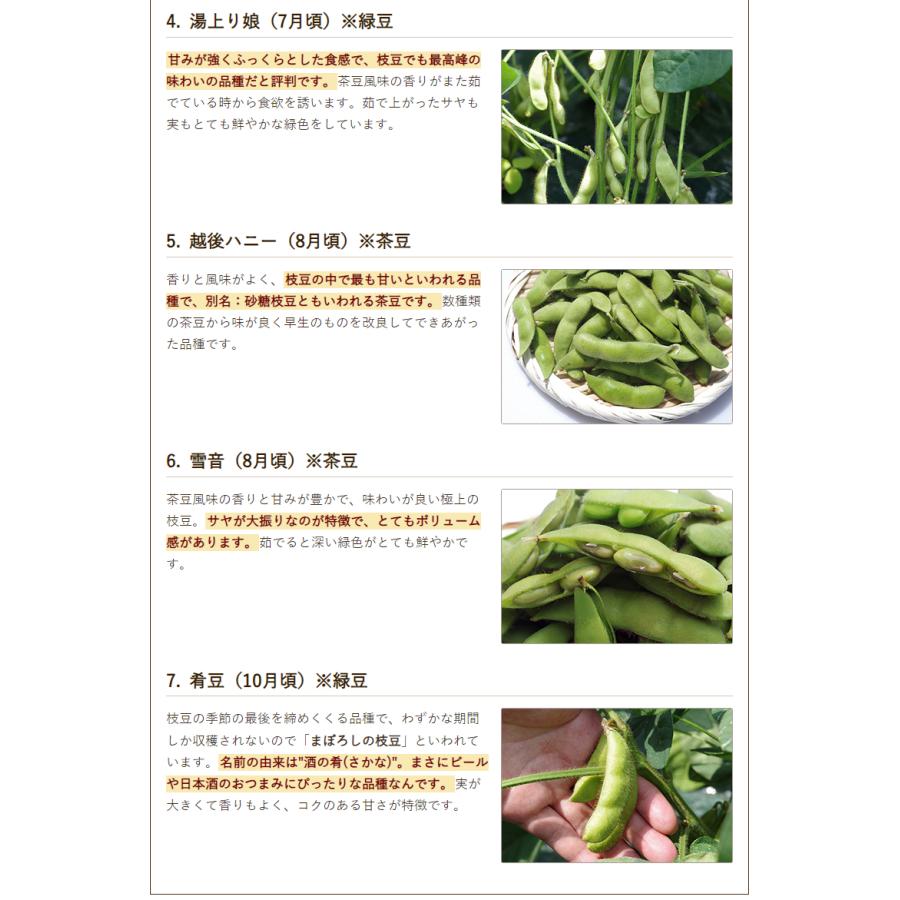 茶豆 越後ハニー 1kg（500g×2袋）/枝豆 えだまめ ちゃまめ/大日 やたえいのう/送料無料｜niigata-shop｜06