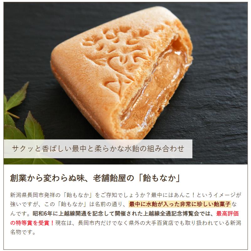 新潟長岡名物 飴もなか 10個入/和菓子 最中/長命堂飴舗/ギフトにも！/のし無料/送料無料 父の日 お中元｜niigata-shop｜03