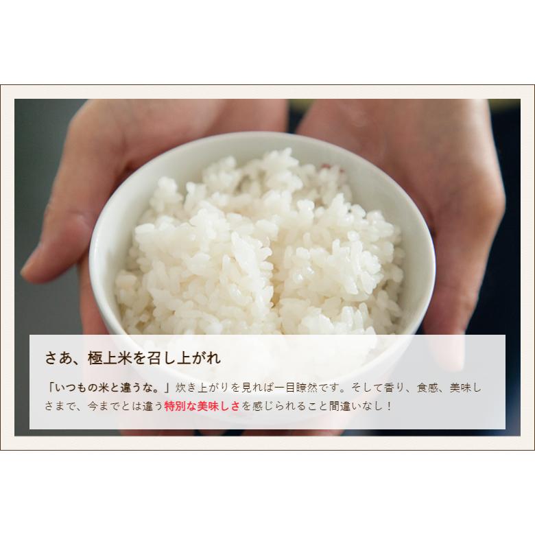 【令和5年度米】特別栽培米（減農薬・減化学肥料）新潟産 新之助 精米10kg（5kg×2）/濁川生産組合/送料無料｜niigata-shop｜07