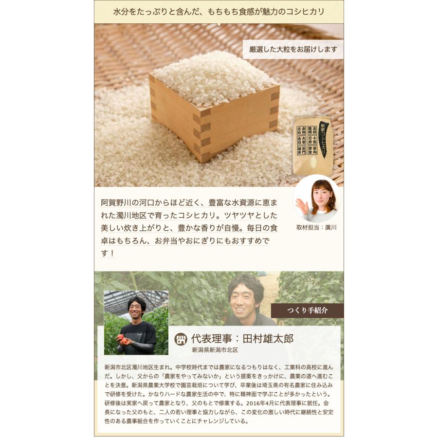 精米　コシヒカリ　20kg 令和6年産 コシヒカリ 20キロ 数量限定